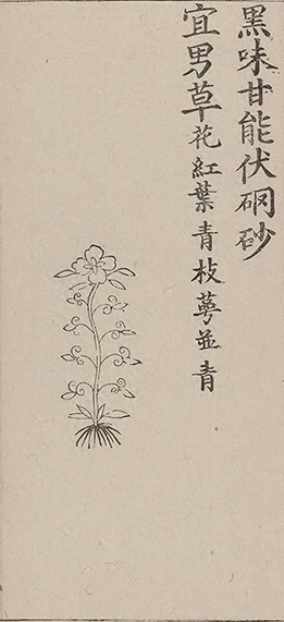 插图