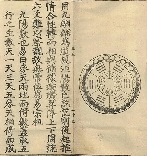 插图