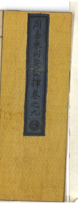 p. 519