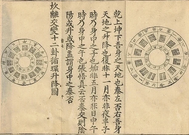 插图