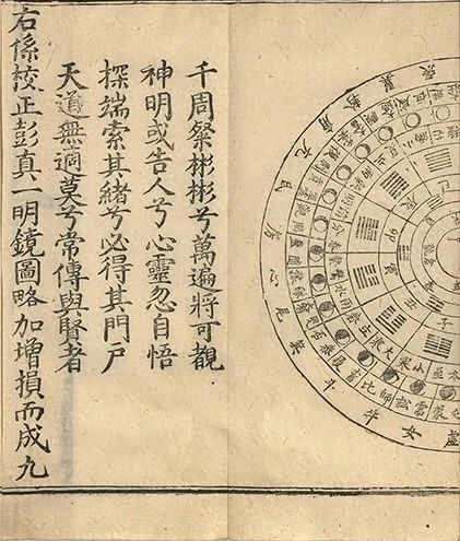 插图