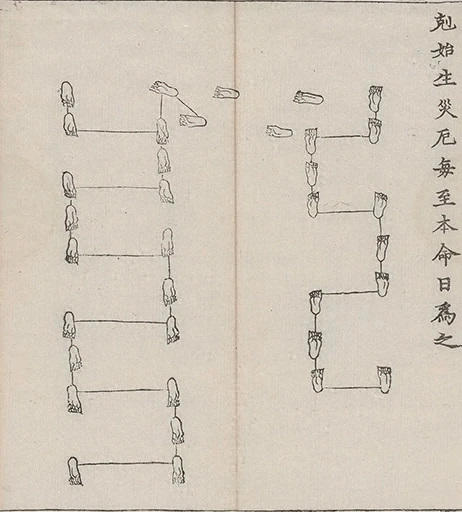 插图