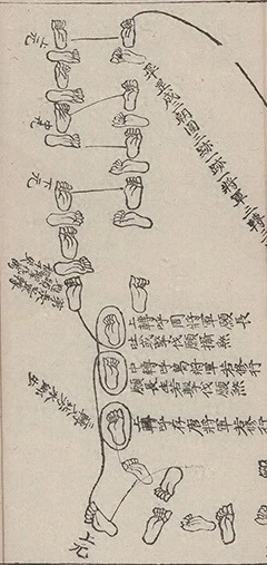 插图