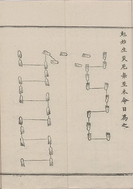 插图