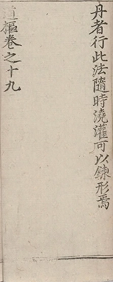 插图