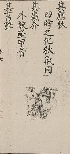 插图