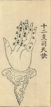 插图