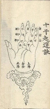 插图