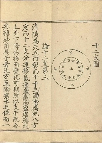 插图