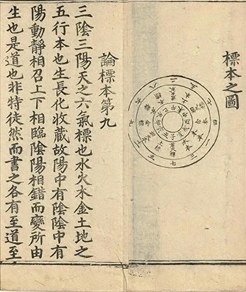 插图