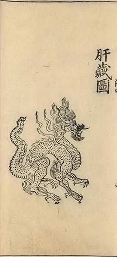 插图
