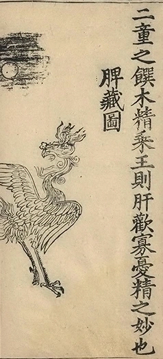 插图
