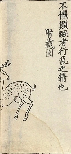 插图