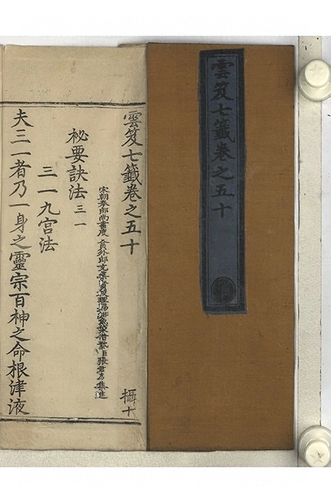 p. 3138