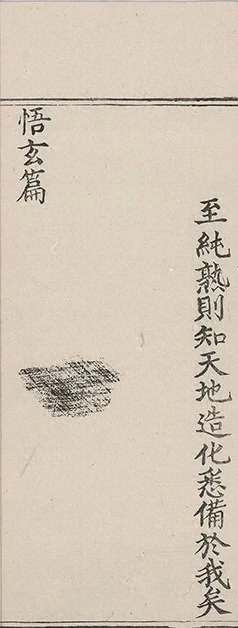 插图
