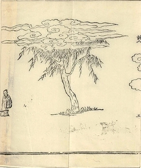 插图