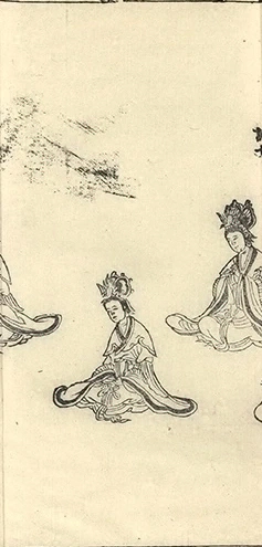 插图