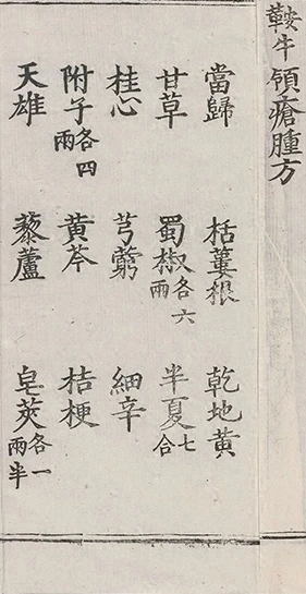 插图
