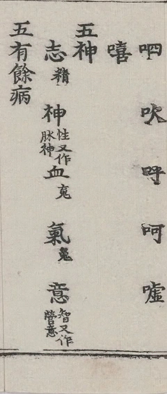 插图