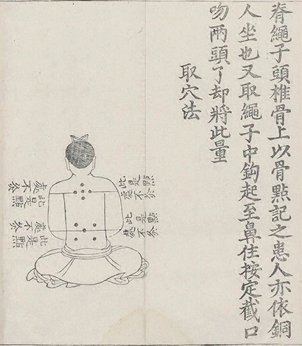 插图
