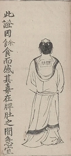 插图