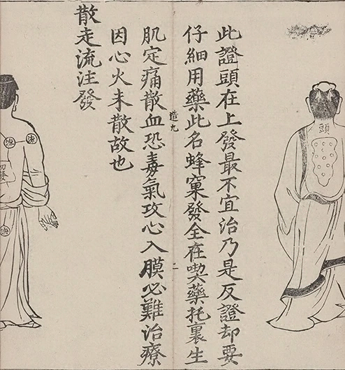 插图