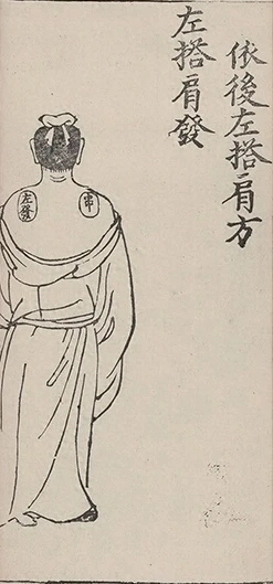 插图