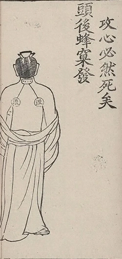 插图