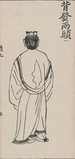 插图