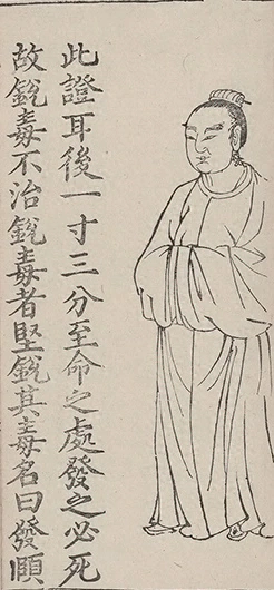 插图