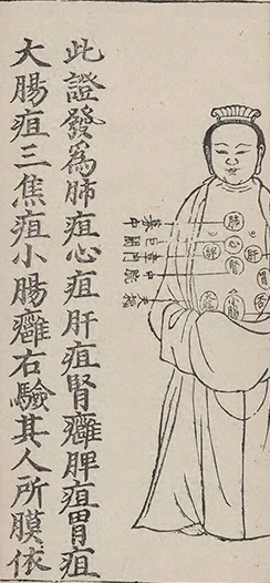 插图