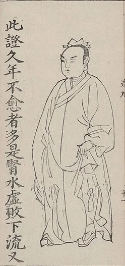插图