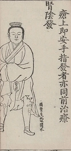 插图