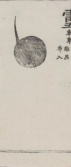 插图