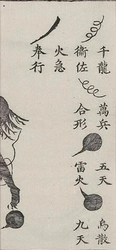 插图