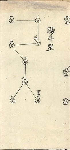 插图