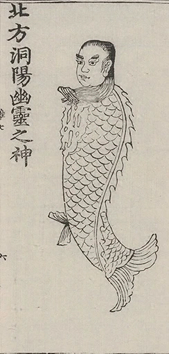 插图