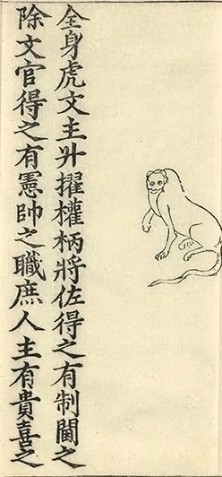 插图