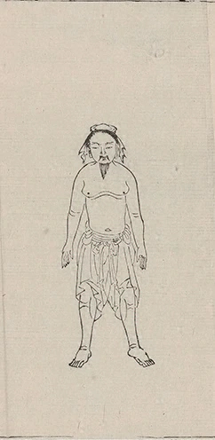 插图