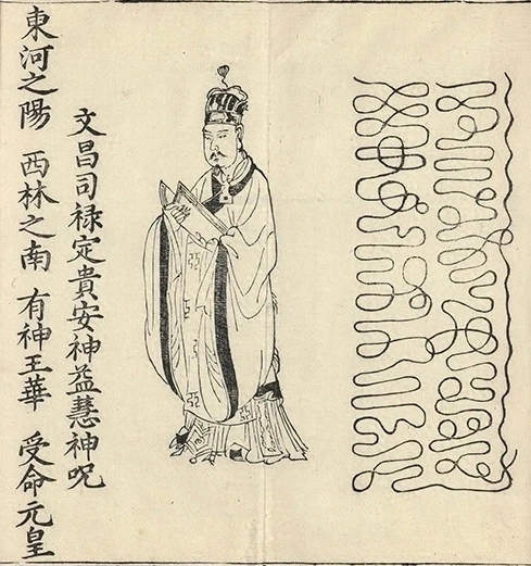插图