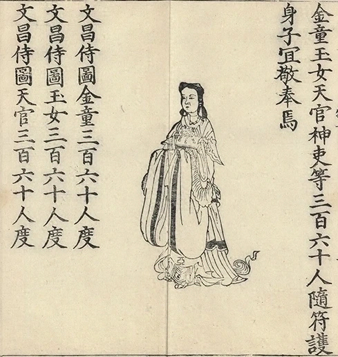 插图
