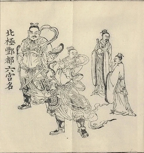 插图