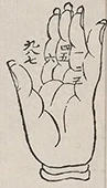 插图