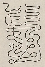 插图