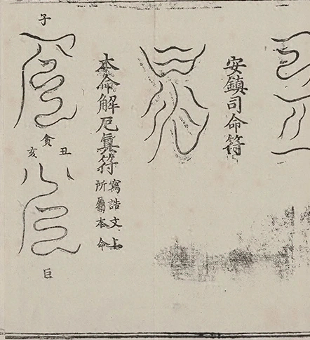 插图