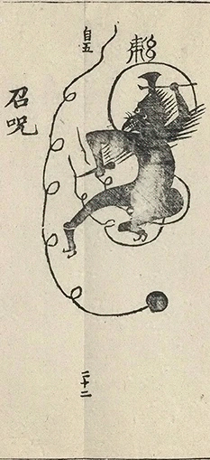 插图