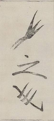插图