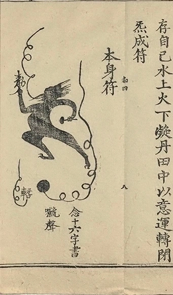 插图