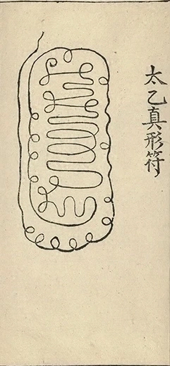 插图