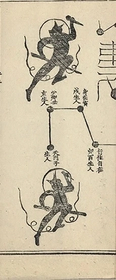 插图